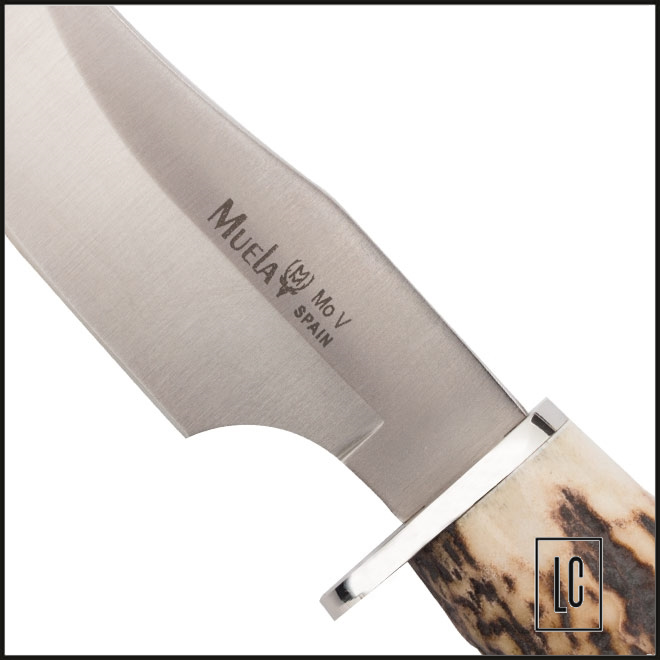 aca-Esportiva-DP-10A-Muela-loja-da-Carabina