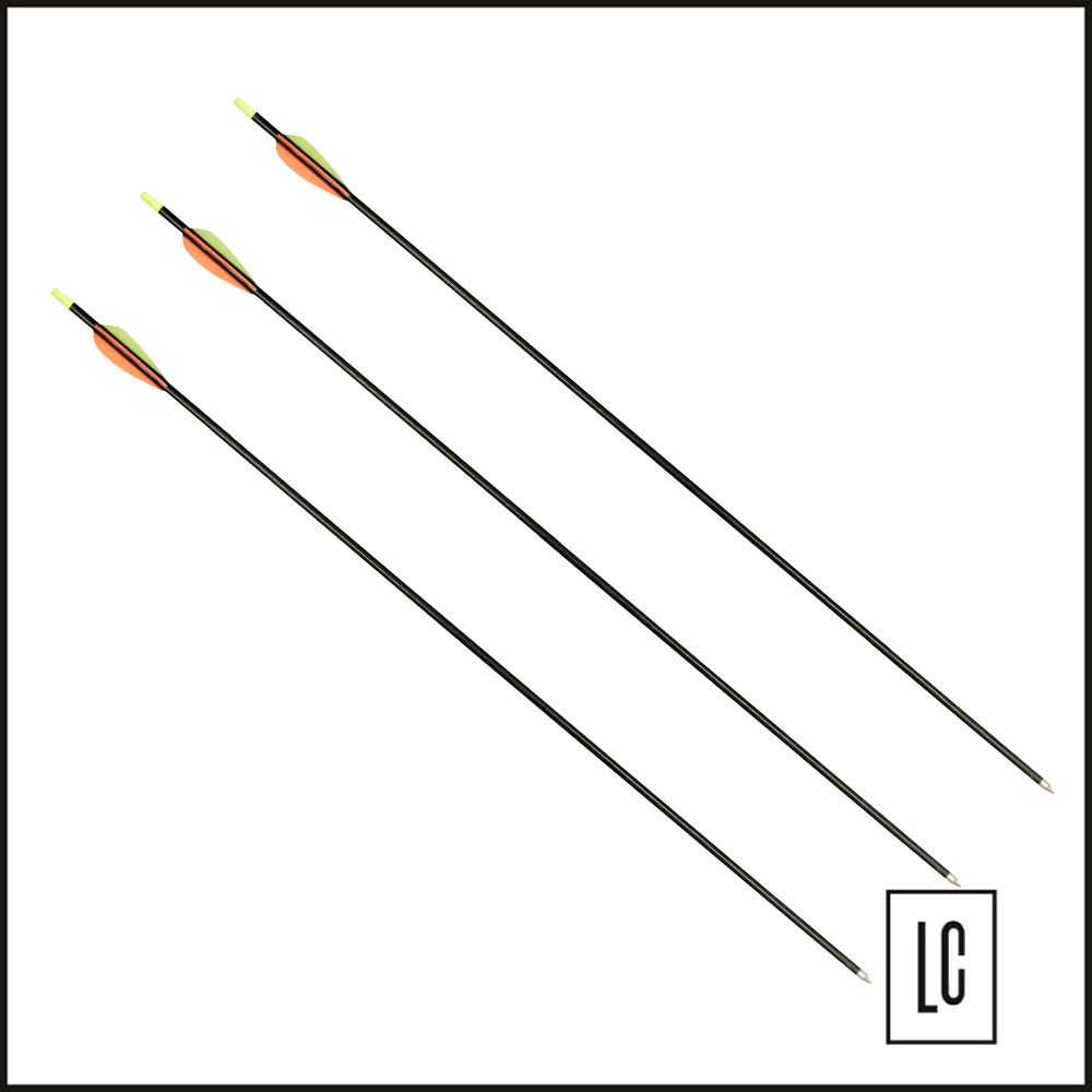 Conjunto de Flecha para Arco - 10 Unidades