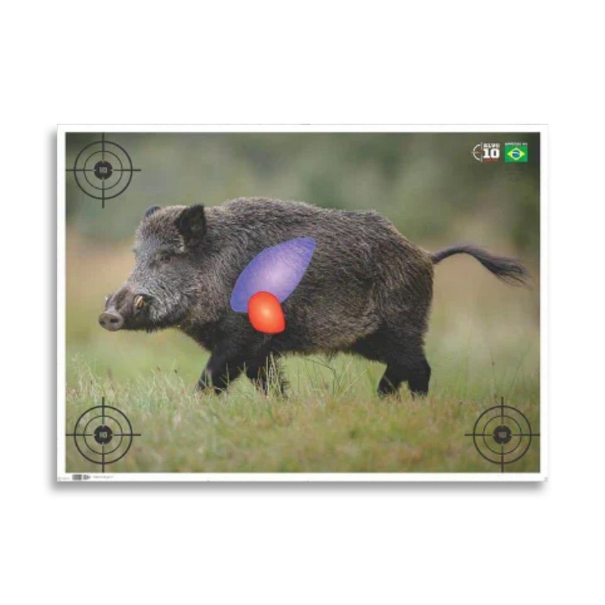 Alvo Javali Caça Treino 48x66 cm