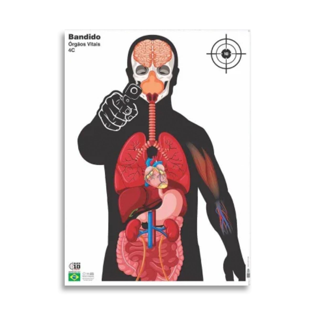 Alvo Humanoide Bandido Orgãos Vitais 49x67 cm