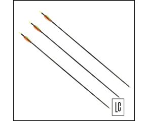 Conjunto de Flecha para Arco - 10 Unidades