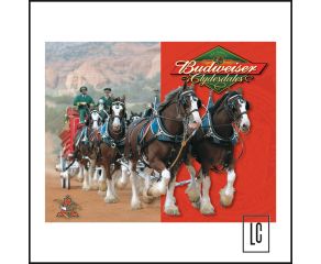 Placa Decorativa Budweiser Horse - Mostly Signs