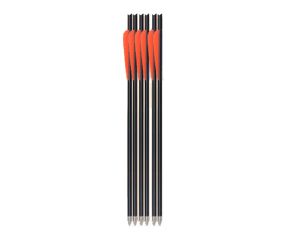 Flechas Artemis Carbono Misto 16" 6 Un