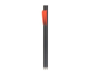 Flechas Artemis Carbono Puro 16" 3 Un